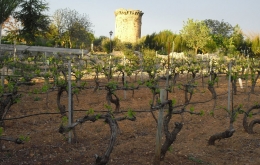 Casa Olea B&B rural Spain vineyard tour Alcala La Real